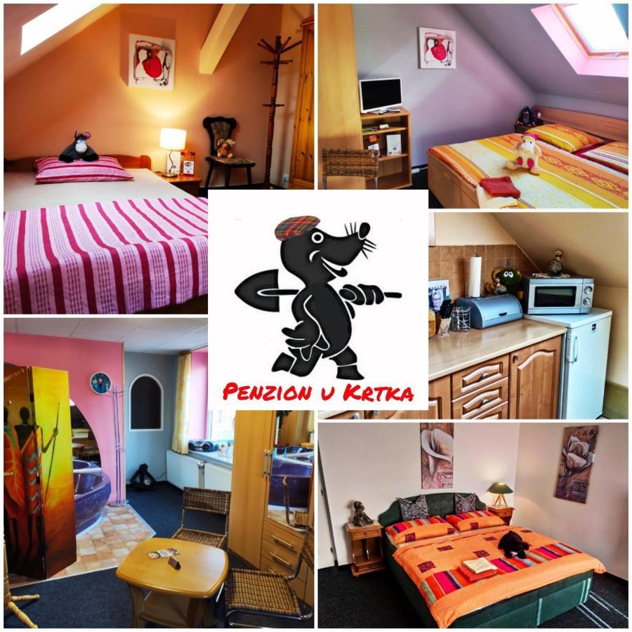 Penzion U Krtka Kraslice ภายนอก รูปภาพ